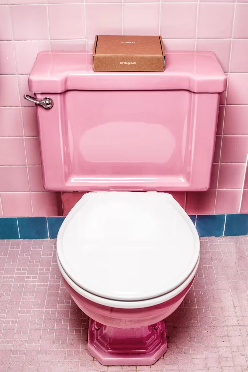 Upgrade Your Bathroom: Choosing the Right Toilet for Your Home