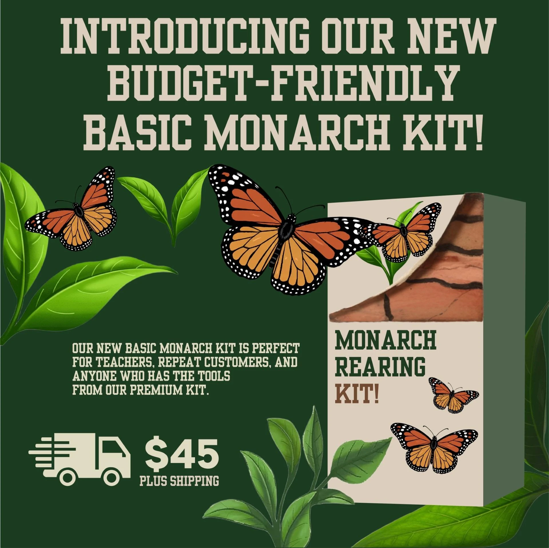 Discover the Advantages of Eco-Friendly Insect and Butterfly Kits