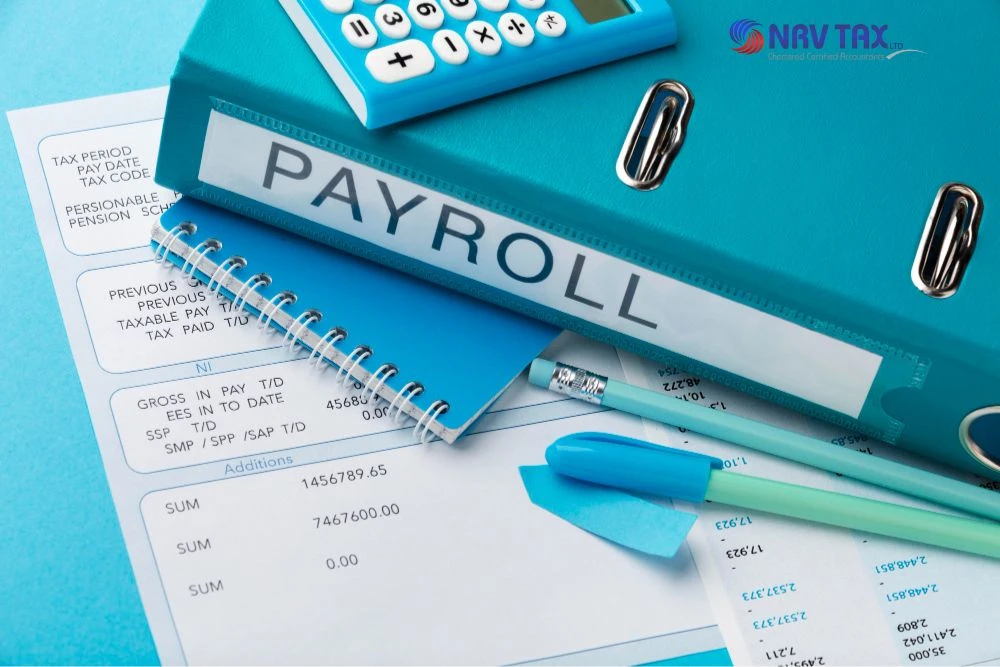Comprehensive Payroll Services Essex: Expert Payroll Management, Compliance & Pension Solutions for Your Business