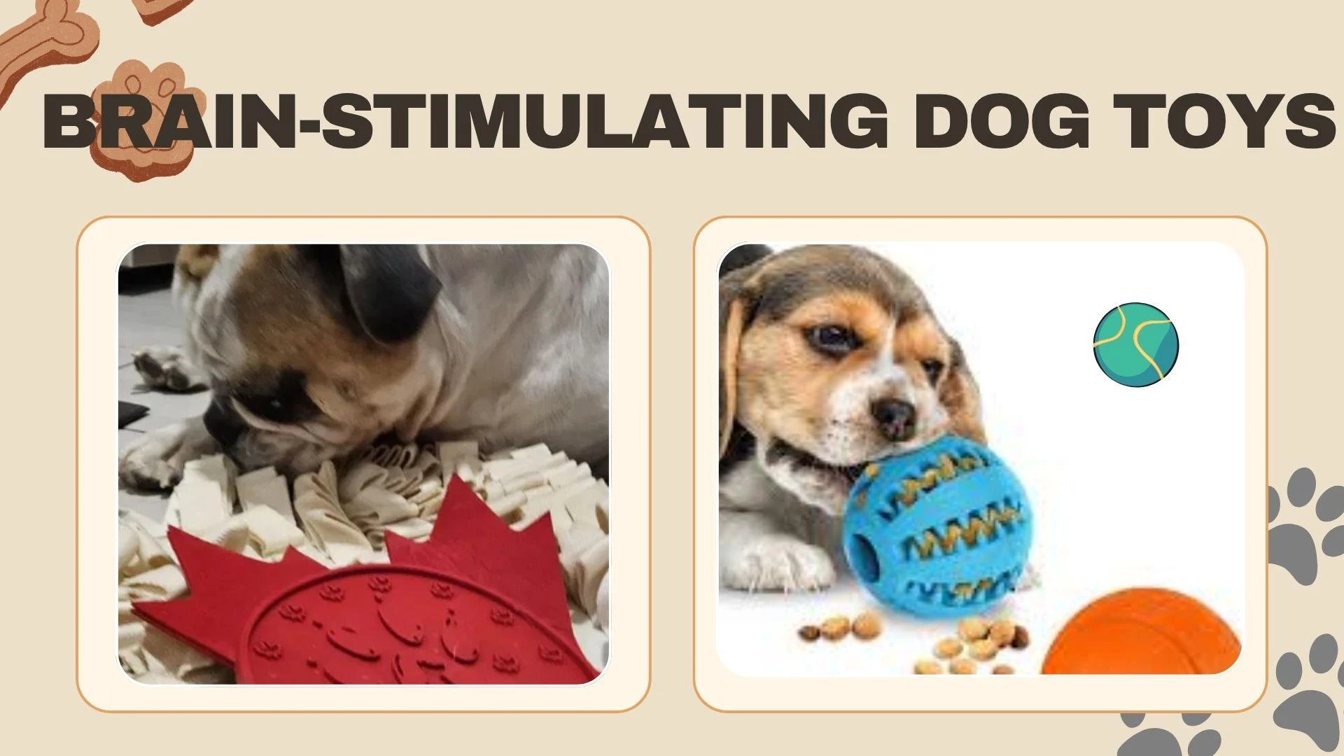 10 Best Dog Enrichment Toys in Canada for Mental Stimulation