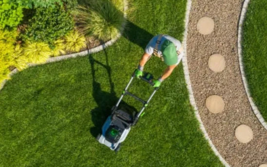 Transform Your Garden with Expert Lawn Care Solutions in Chichester