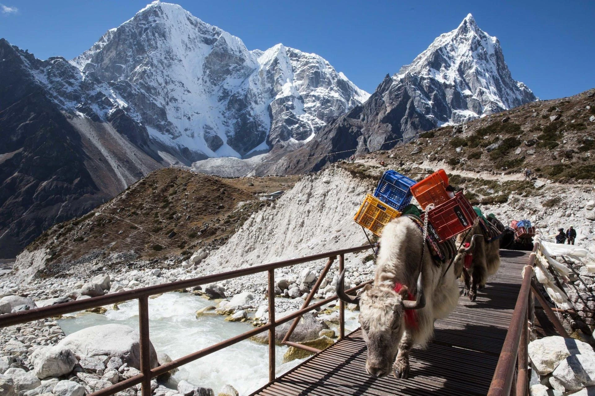 Everest Base Camp Trek