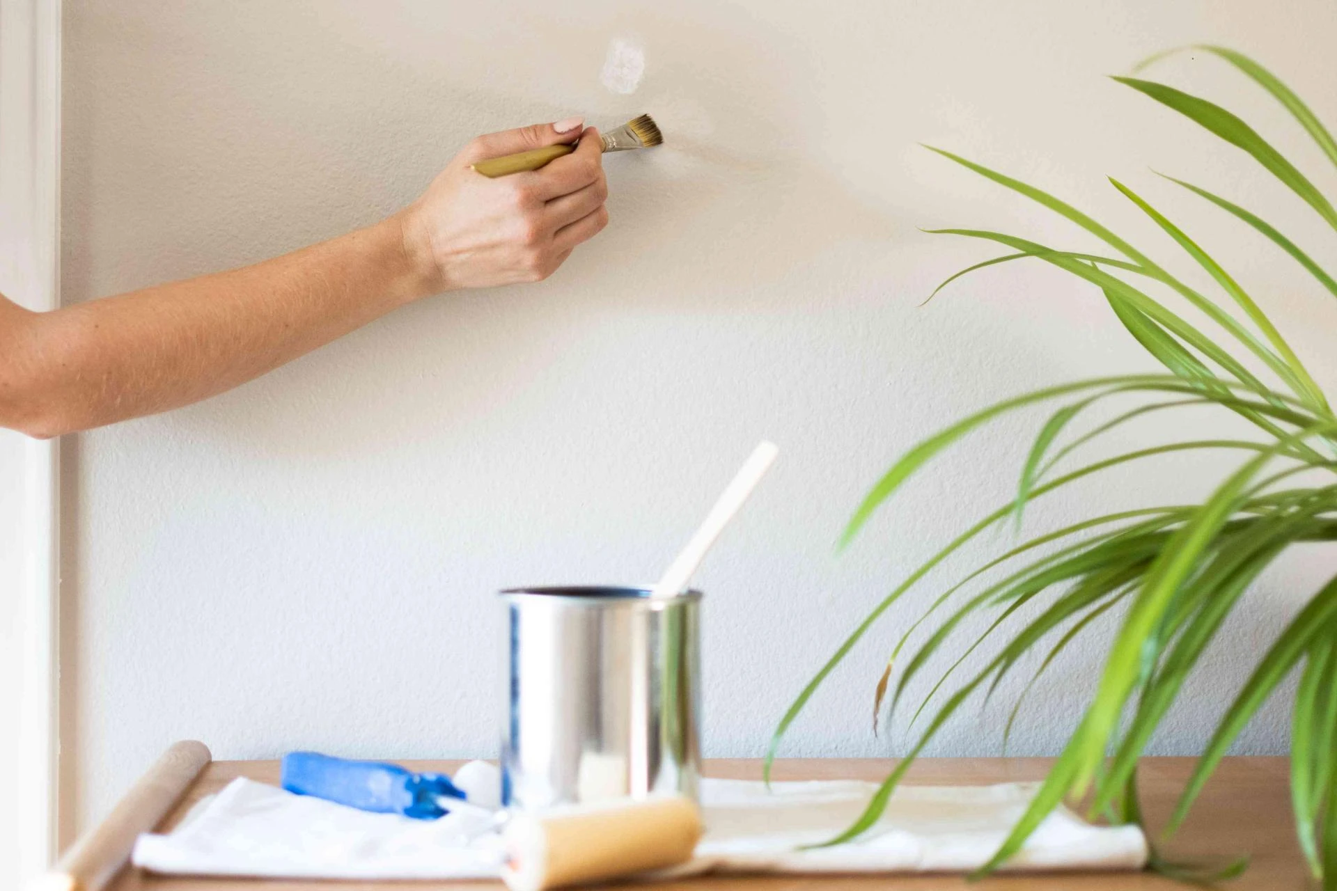 Wallpaper vs. Paint: Which Is Best for Your Walls?