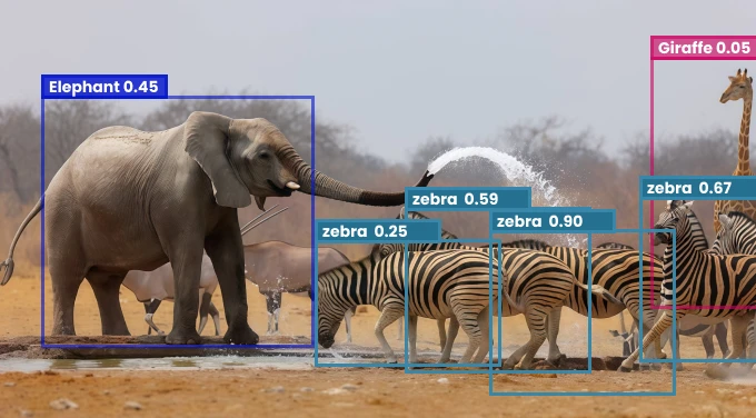Revolutionizing Zoo Management: How AI-Powered Computer Vision Enhances Wildlife Conservation and Animal Care