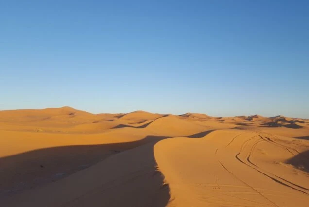 Discover Morocco’s Soul: An Immersive Journey to the Sahara and Beyond