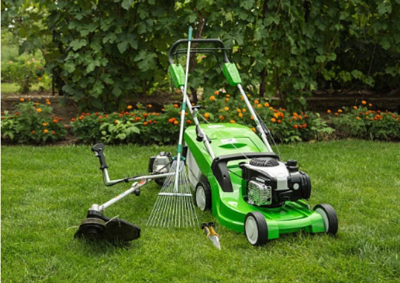 Professional Lawn Care Chichester: Transform Your Garden