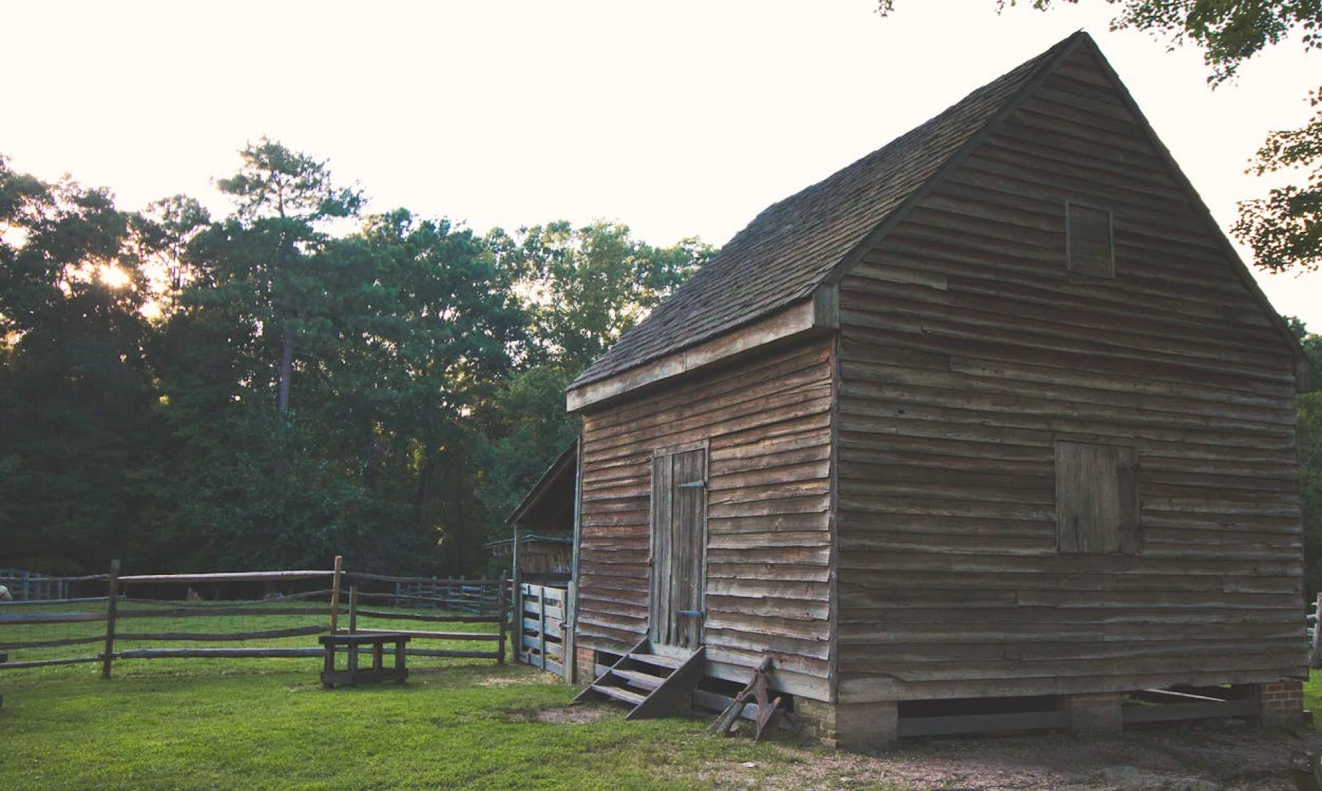 Don’t Let an Old Shed Bring Down Your Backyard—Remove It in One Day