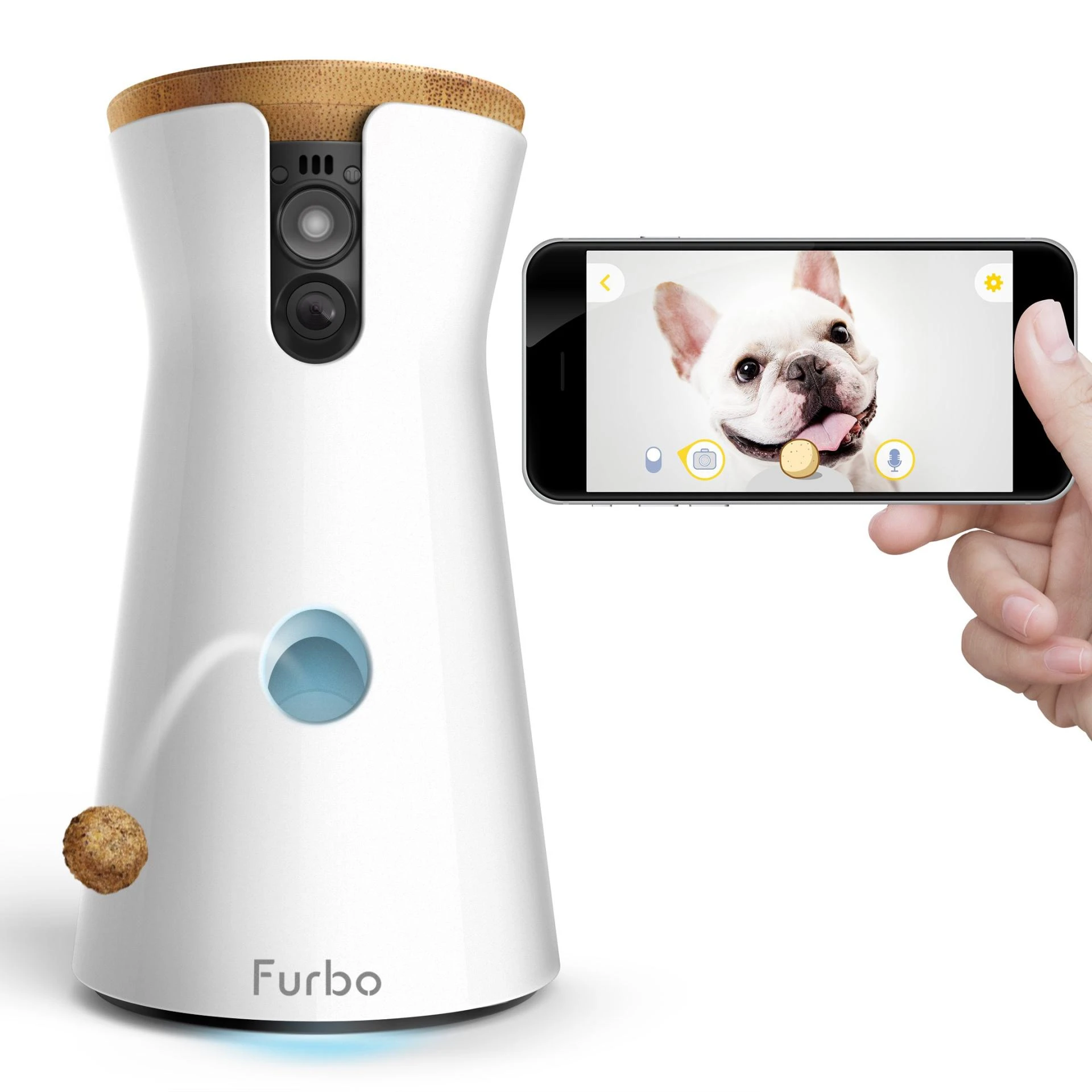 Furbo Dog Camera: Your Dog’s Best Friend When You're Away
