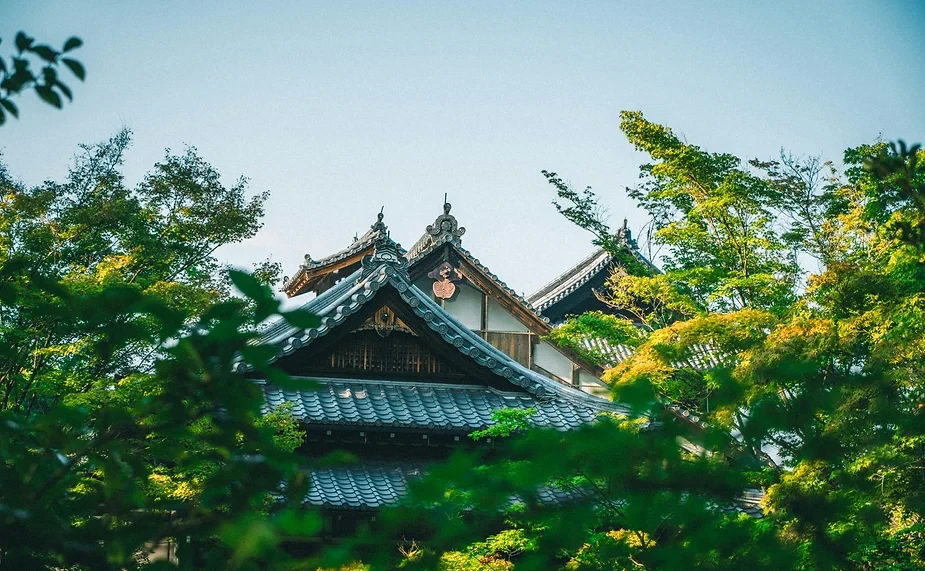 Seven Tips to Help You Get a Nice Interior Right Now