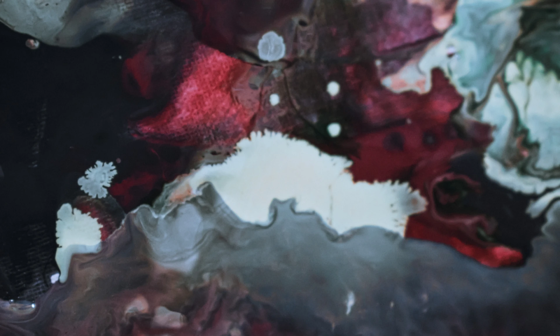 Direct Black Dyes: Deep Coloration for Textiles That Last