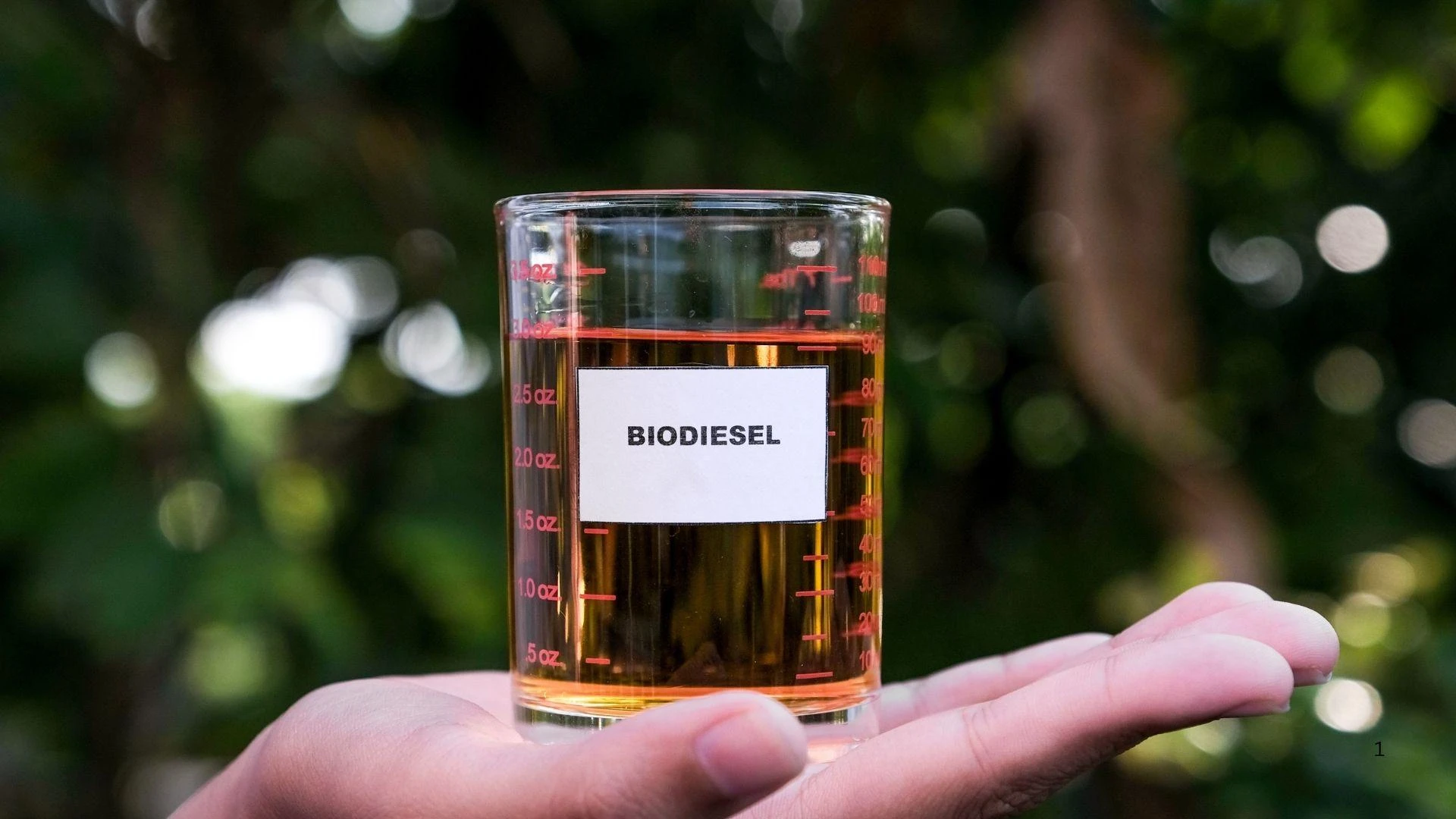 Global Biodiesel Market to Reach US$ 70.61 Billion by 2033: Renub Research