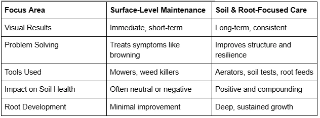 How Lawn Care Services Improve Soil Health and Root Growth