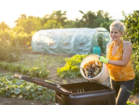 Transform Your Garden with Expert Lawn Care in Chichester