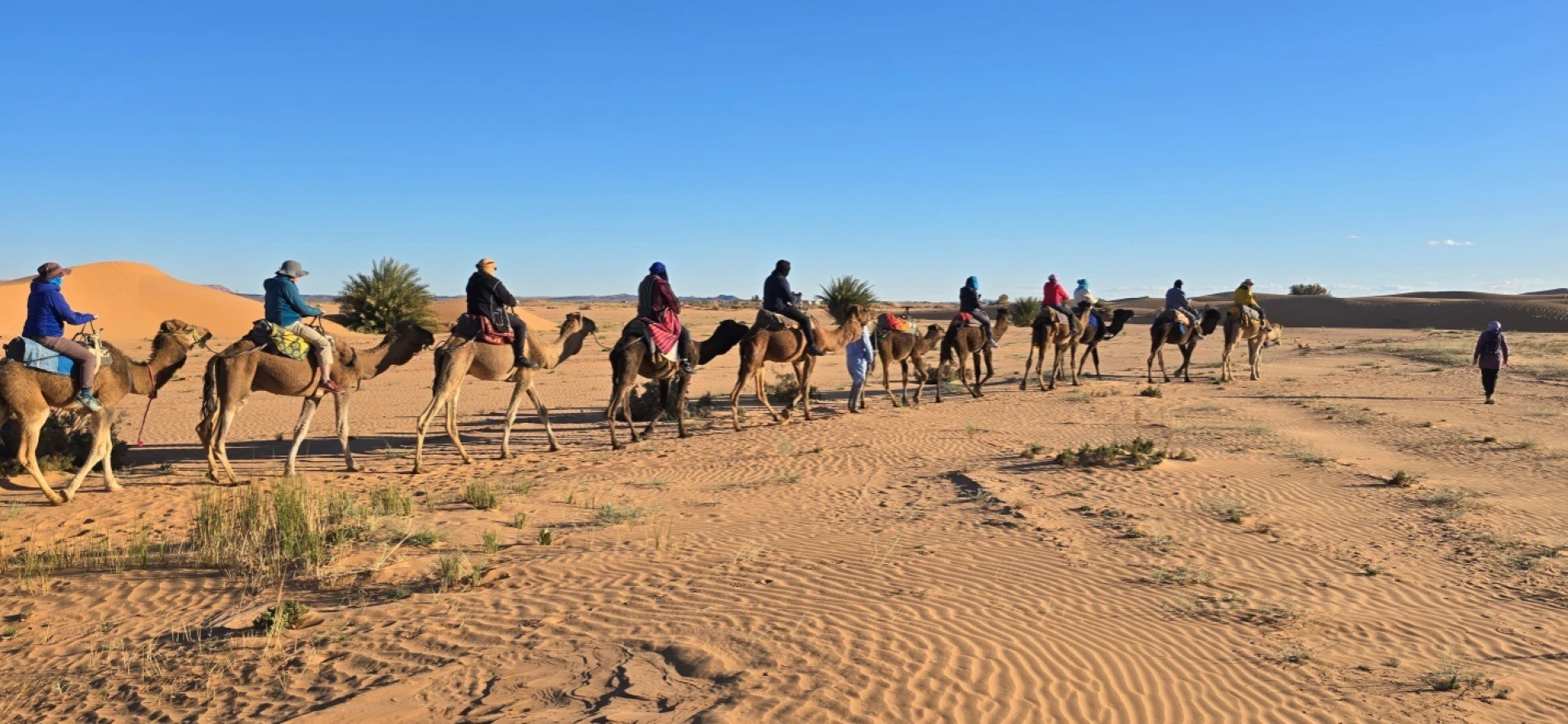 Camel Trekking Sahara Tours: Combining Desert Travel with Cultural Immersion