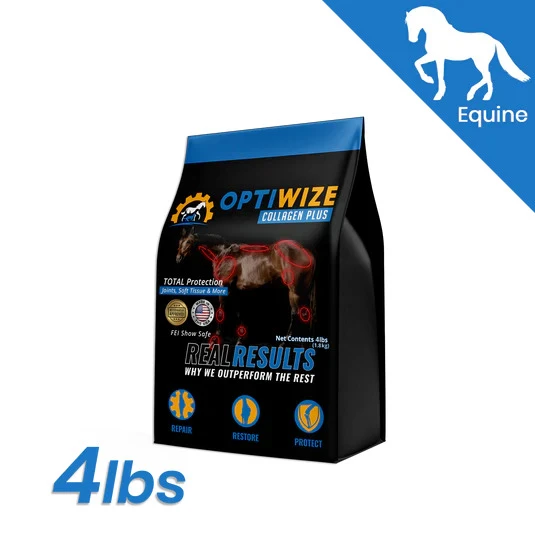 How Supplements Can Aid in Suspensory Ligament Healing in Horses