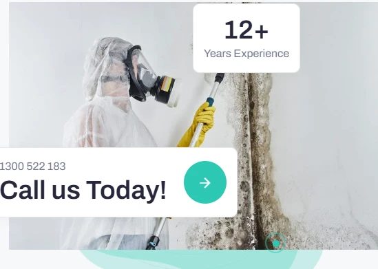 Top 10 Signs You Need Professional Mould Remediation Fast