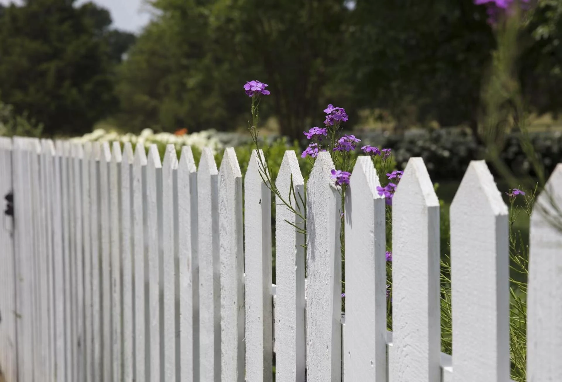 Smart Fence Investment: How Burlington County Homeowners Balance Style and Security