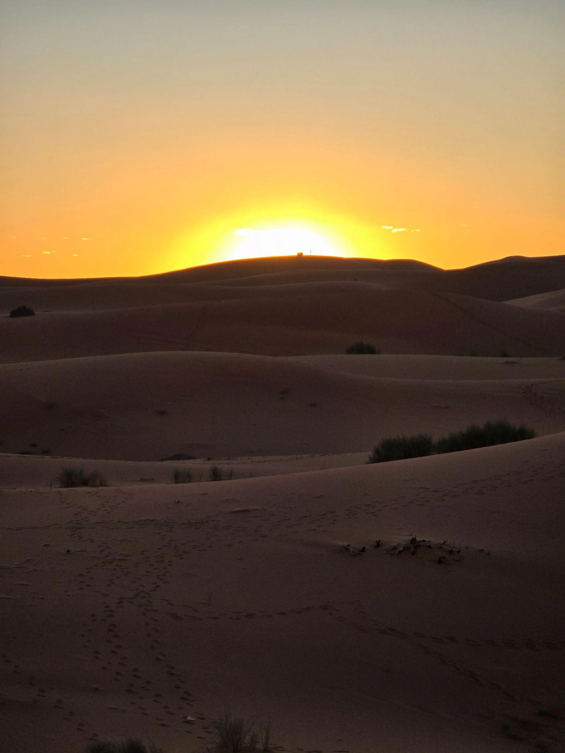 Camel Tour Marrakech: Combining Desert Adventure with City Convenience