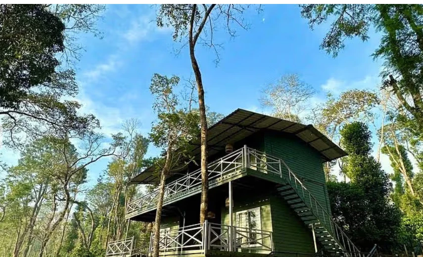 Machaan Wilderness Lodge, Nagarahole: A Perfect Escape into the Wild