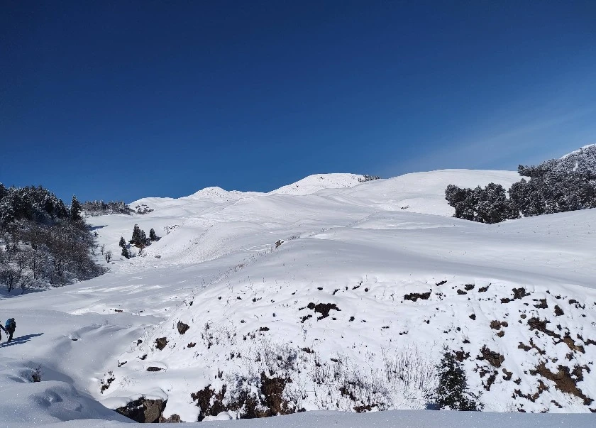 Journey to Dayara Bugyal, the College Reunion Trek with Himalayan Dream Treks