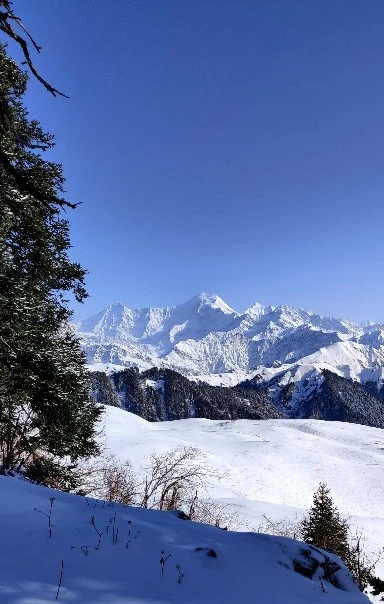 Journey to Dayara Bugyal, the College Reunion Trek with Himalayan Dream Treks