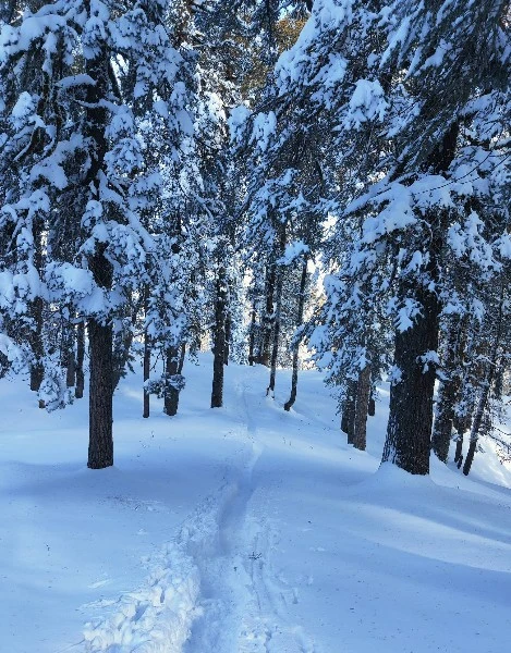 My Winter Kedarkantha trek with Friends- Organized by Himalayan Dream Treks