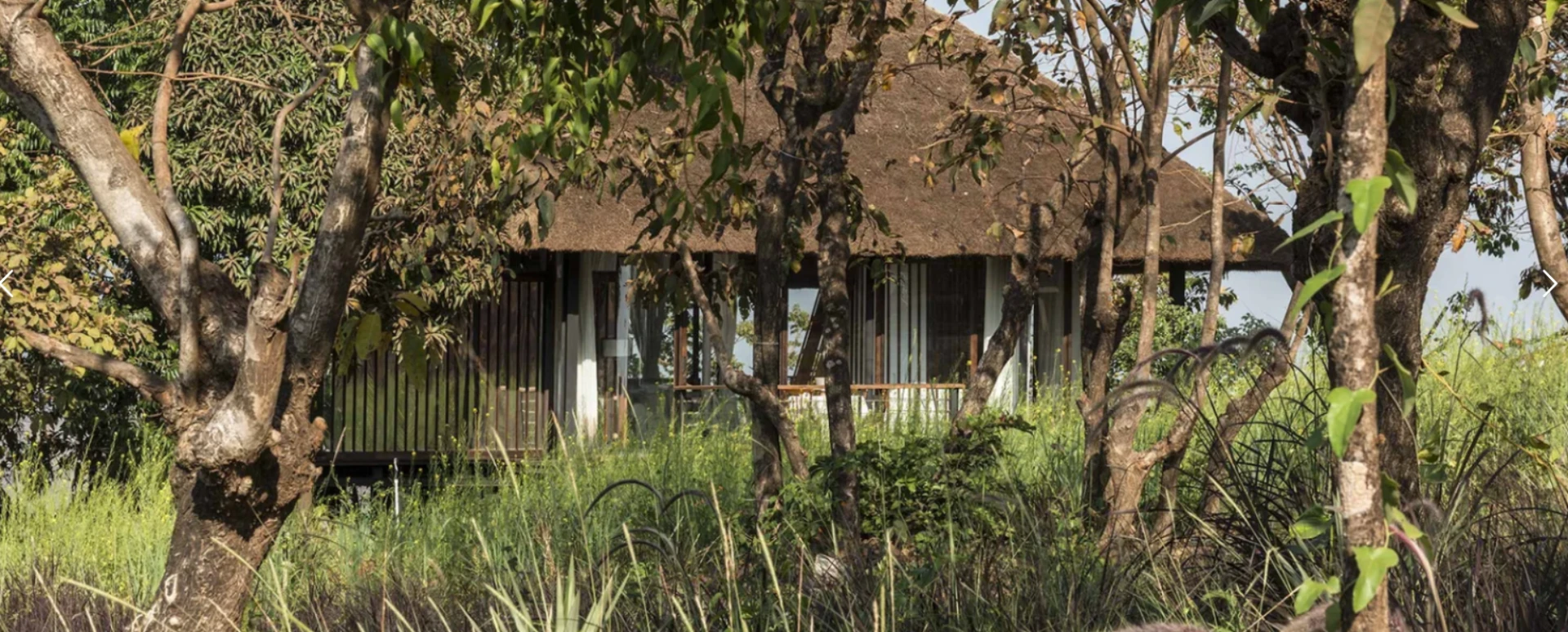 How Sustainable Architects in India Are Redefining Modern Architecture