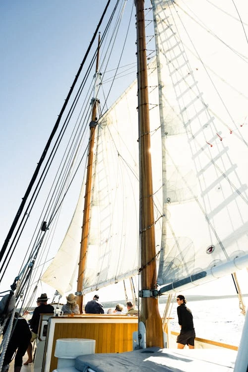 Beyond the Checklist: How a True Marine Consultant Becomes Your Vessel’s Strategic Partner