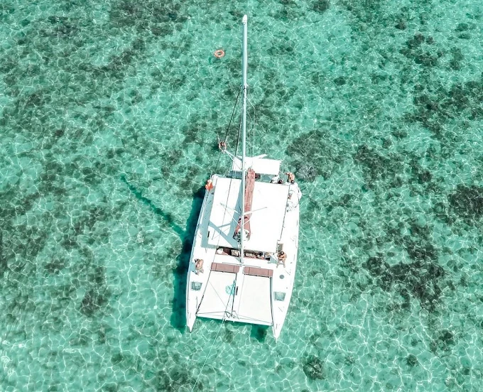 Discover the Thrill of a Catamaran Cabo San Lucas Adventure Today