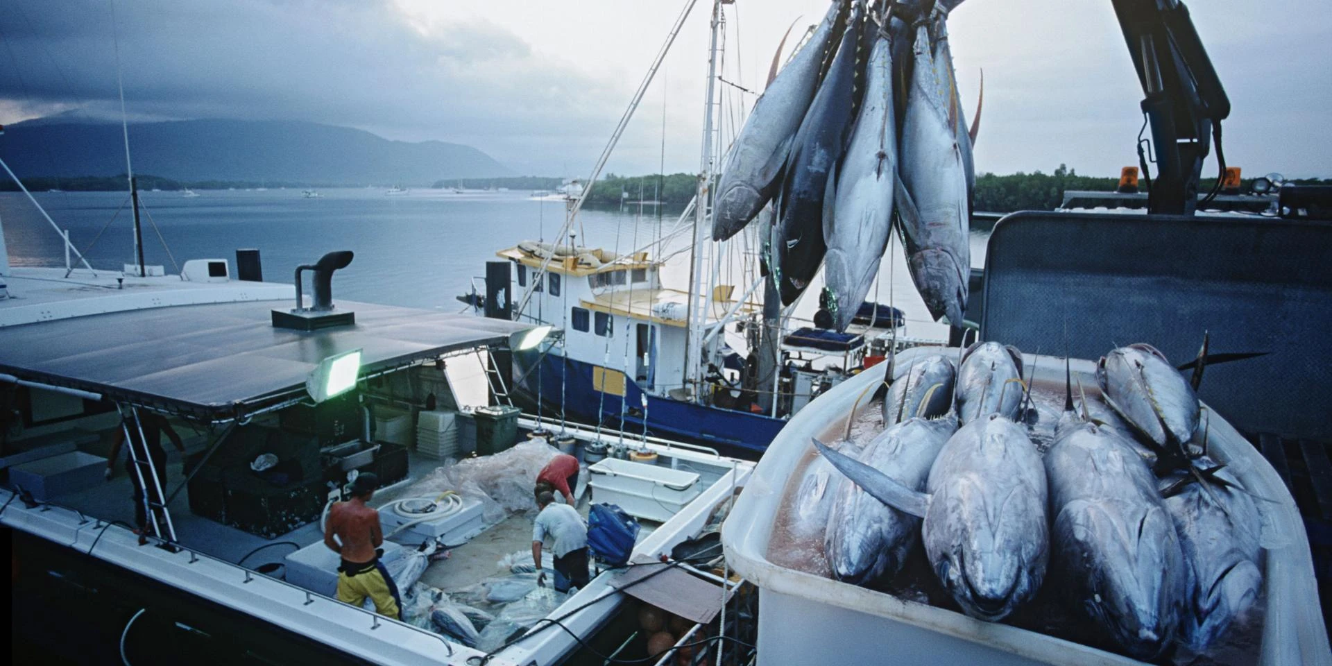 Lighting the Deep: How to Choose the Best Marine LED Lights for Your Vessel?