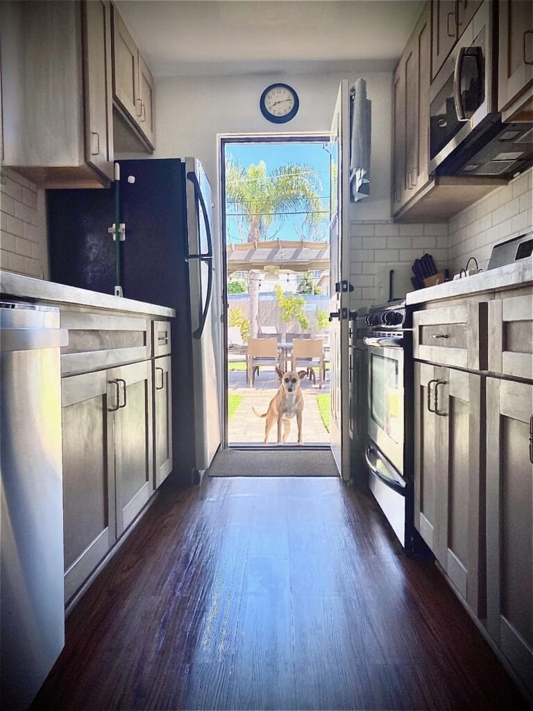 “Stay, Play & Wag in — San Diego vacation homes pet-friendly!”
