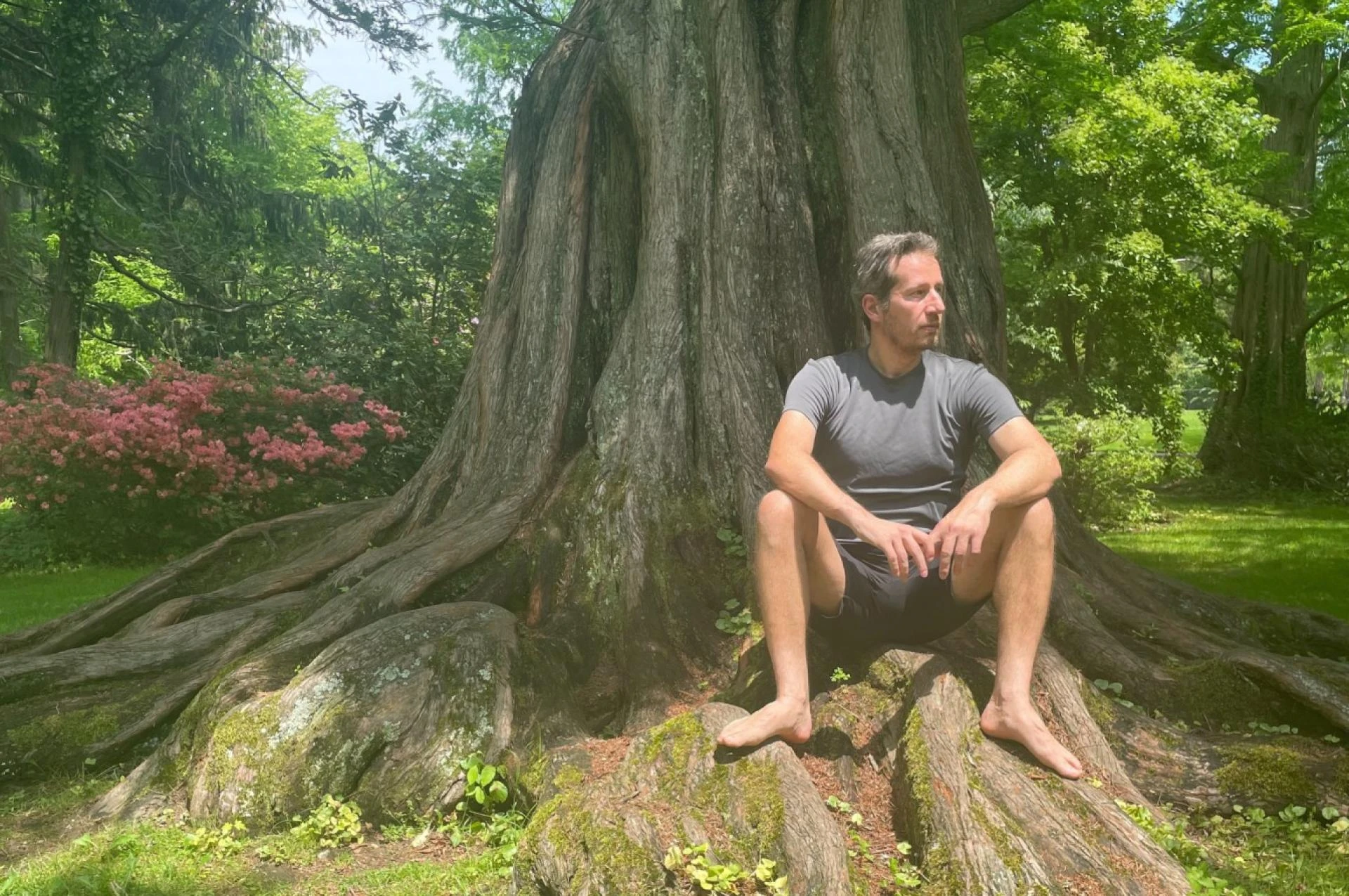 Using Non-Violent Communication as a Mindset Tool for Conflict Resolution