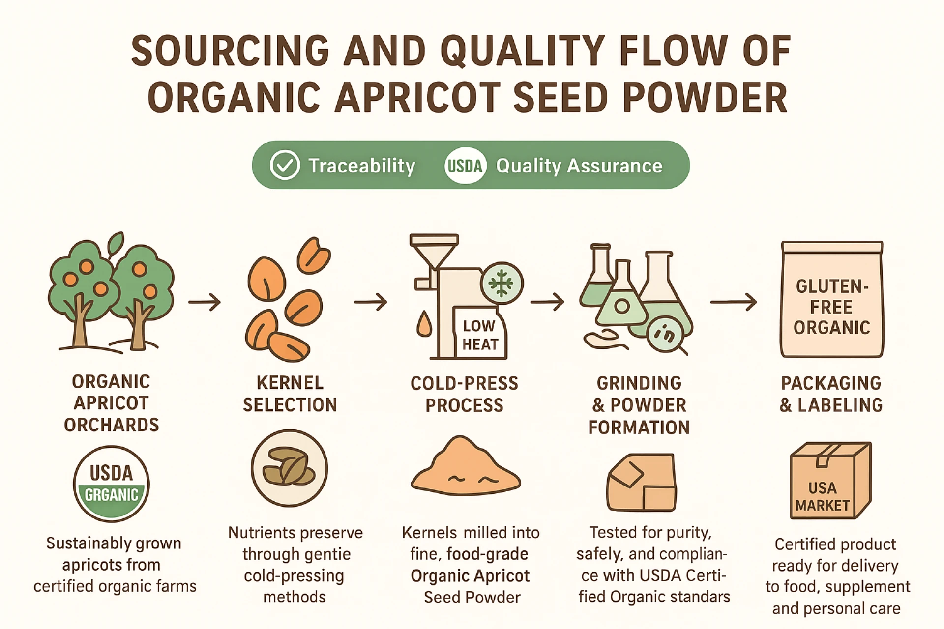 Exploring the Versatility of Organic Apricot Seed Powder in Modern Formulations