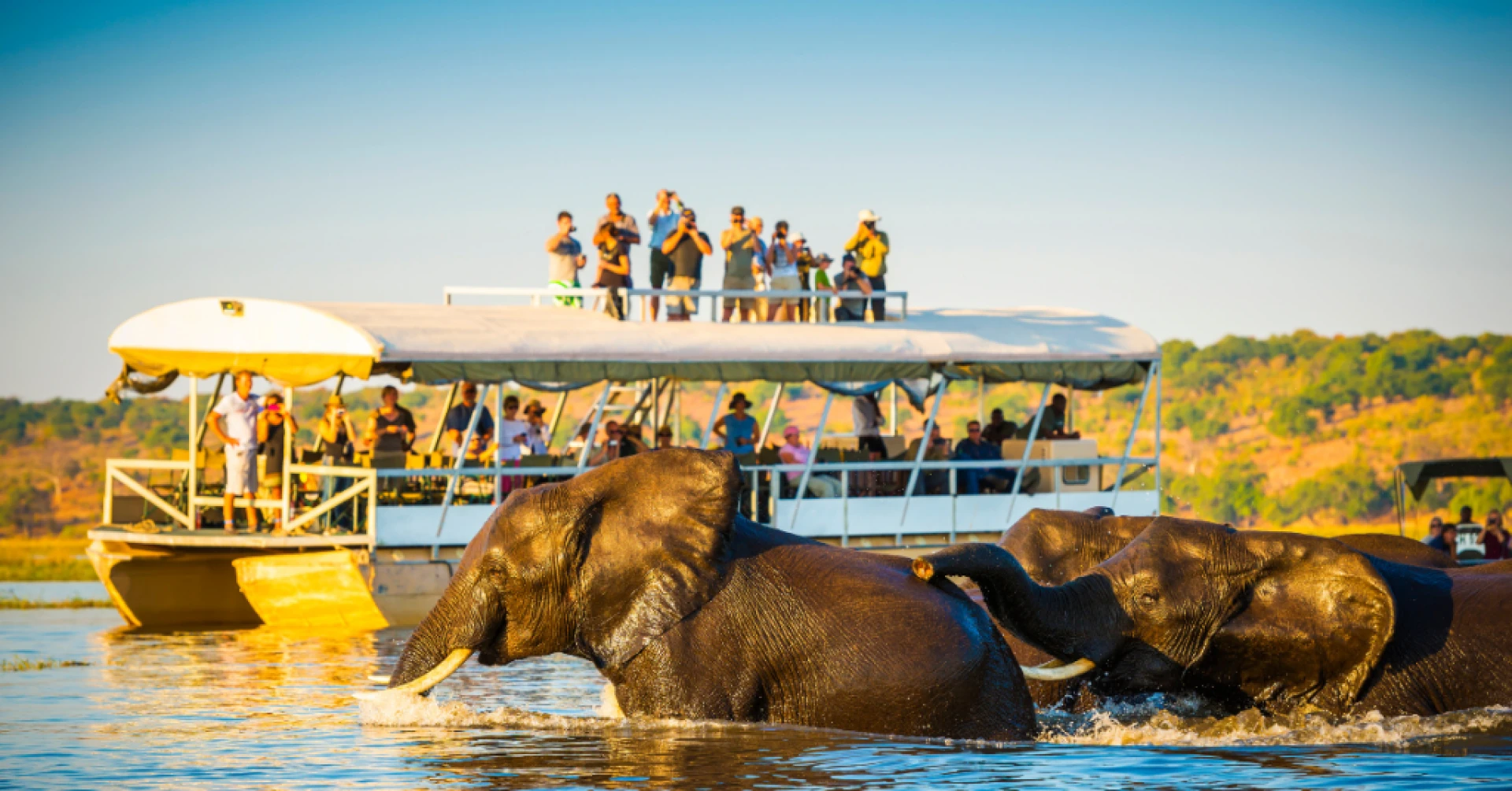 What Makes Botswana Safari Experiences Special
