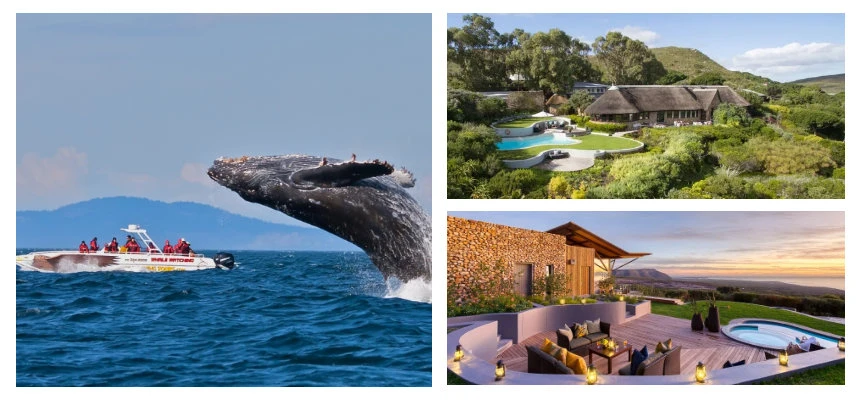 Best Garden Route Road Trip: Port Elizabeth to Cape Town