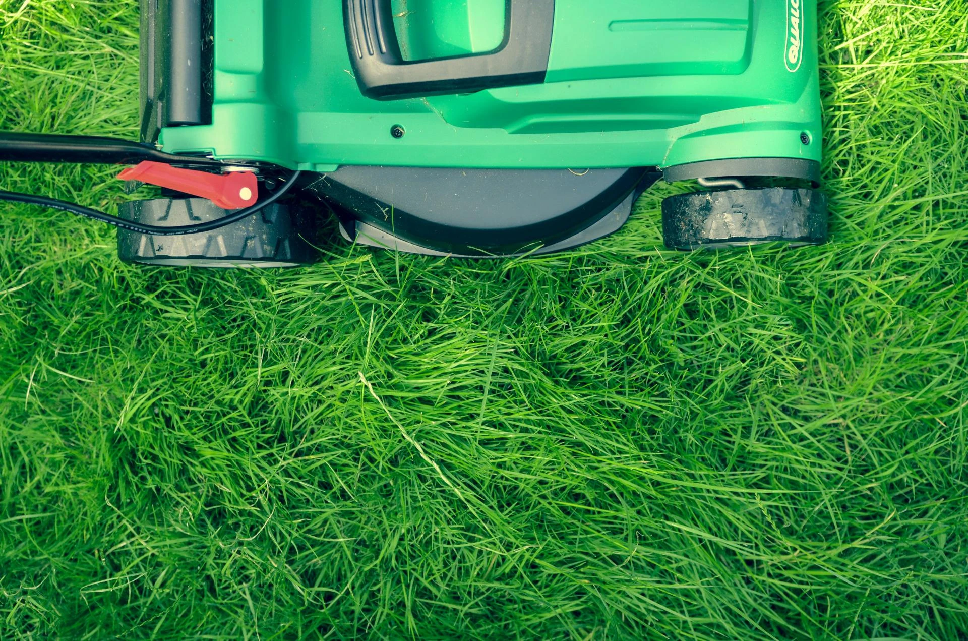 How to Spot Signs Your Lawn Needs Professional Fertilizer Treatment