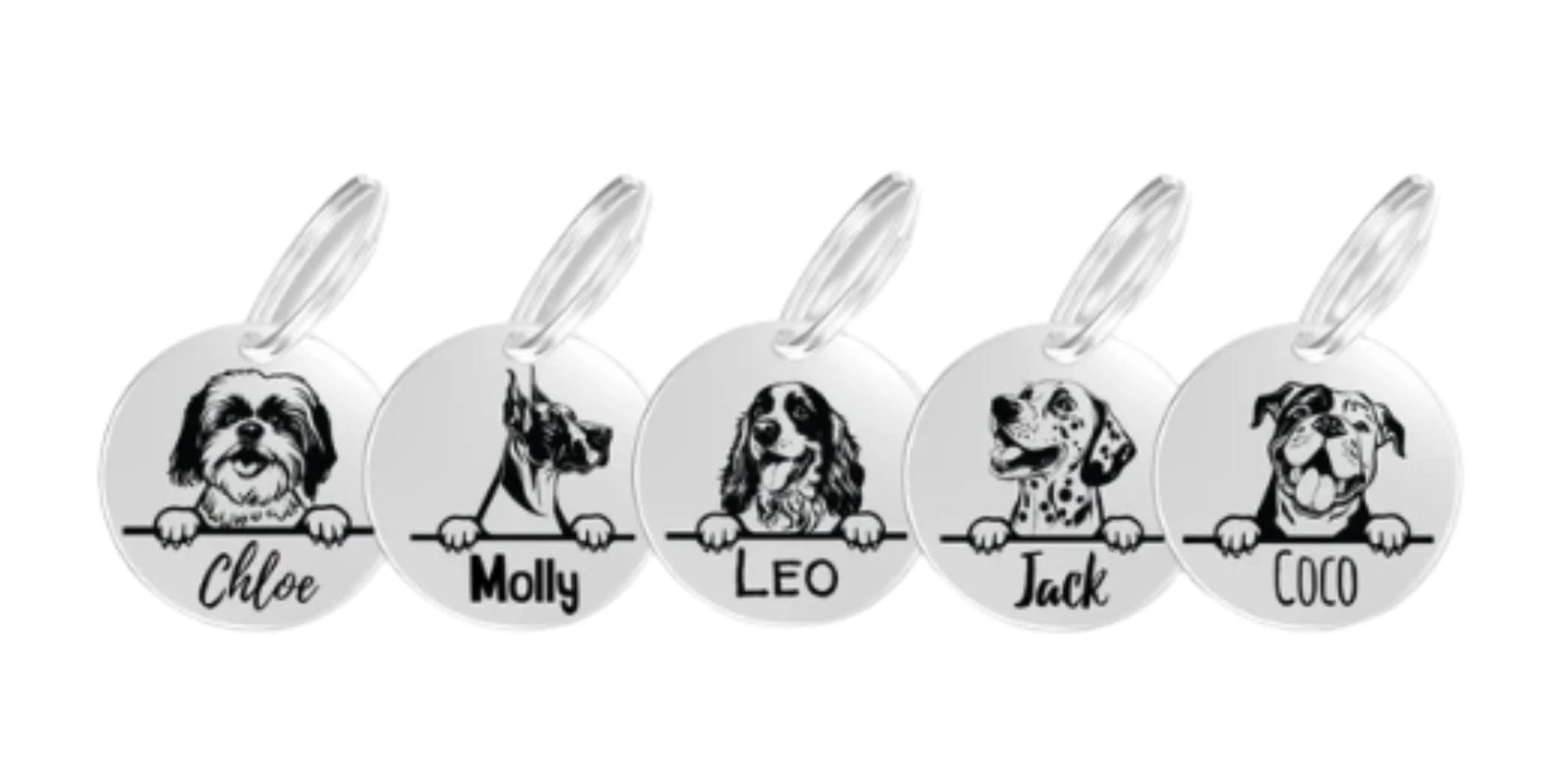 Unlocking the Truth About Dog Tags: What to Put on Them and Where to Buy the Best Ones