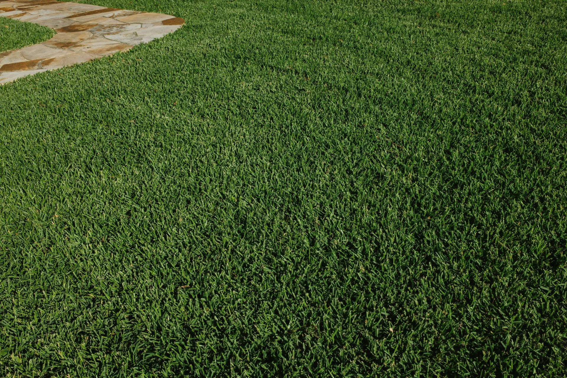 Why Homeowners Depend on Yearly Landscaping and Lawn Care Services