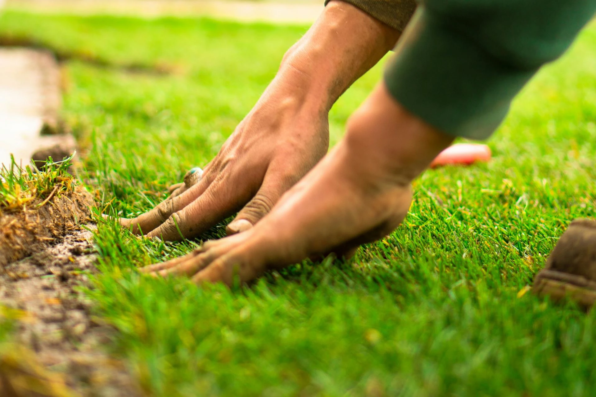 Simple Ways Landscaping and Lawn Care Experts Keep Yards Beautiful in Baton Rouge, LA